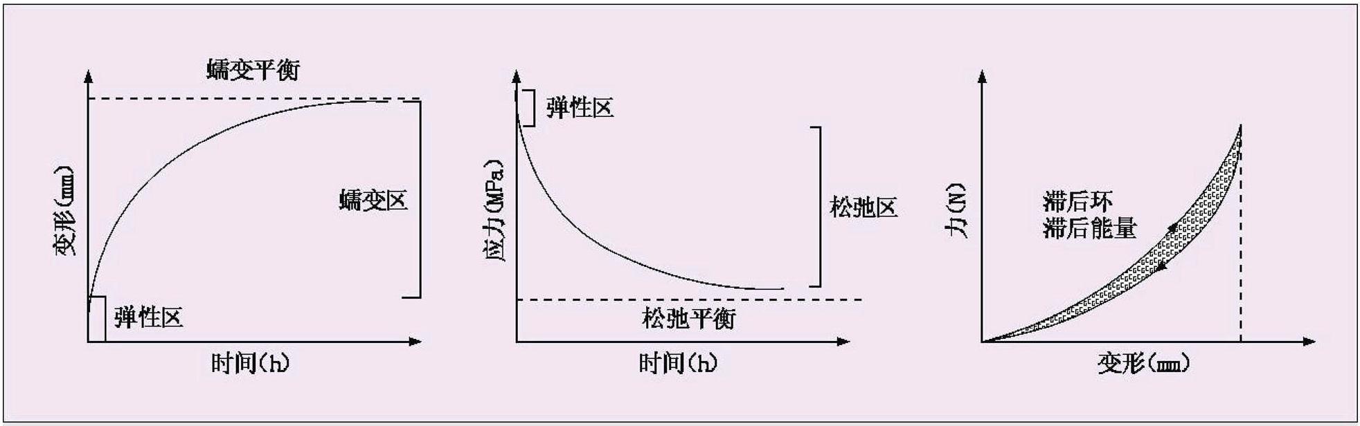 第二節(jié) 脊柱的力學性能